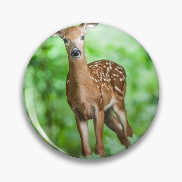 Item preview, Deer Mammal Young Wild Forest Animal designed and sold by MonArtisteSam.