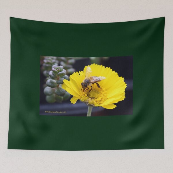 Item preview, Differences designed and sold by Katagram.