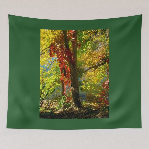 Item preview, Light in the Forest designed and sold by Shulie1.