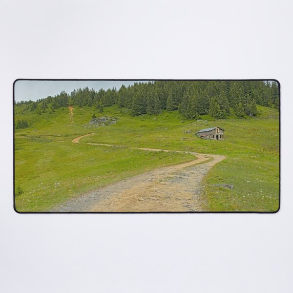 Item preview, Path through an Alpine mountain landscape designed and sold by xophotography.