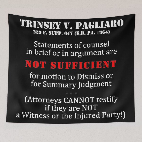 Item preview, LAW, & ORDER:: Case Law: Trinsey v Pagliaro (white text) designed and sold by Spinning Plates 360.