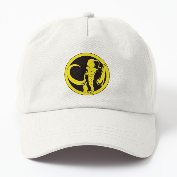 power ranger dad hat