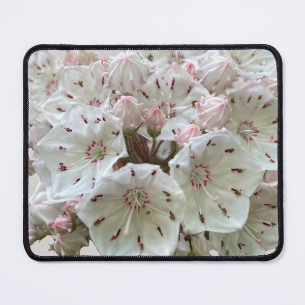 Item preview, Pretty floral collection designed and sold by Lians.