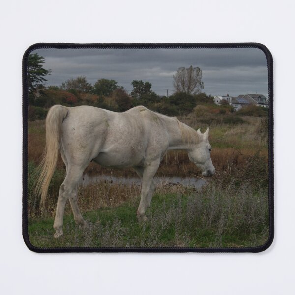 Item preview, White Horse. Wild but Friendly. designed and sold by GingerMan2550.