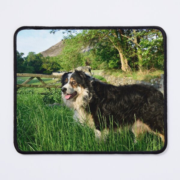 Item preview, Laddie in lockdown designed and sold by Michael Haslam.