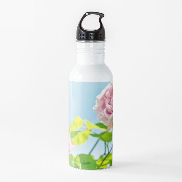 Diana Water Bottle