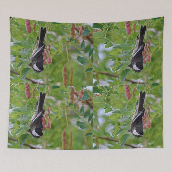 Item preview, Chickadee Hanging Upside Down designed and sold by ADM  Photography.