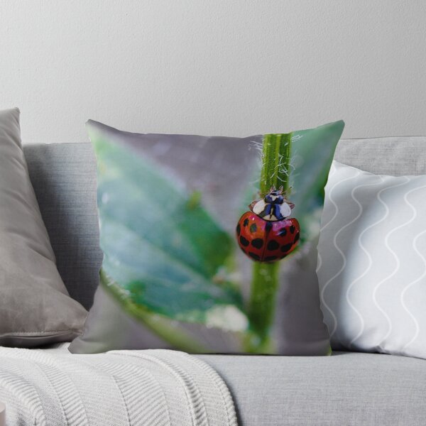 Item preview, Ladybug Climbing up a Stem designed and sold by ADM  Photography.
