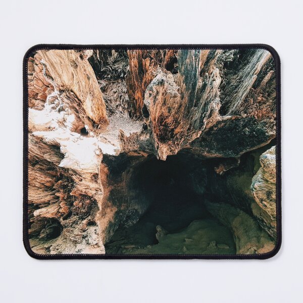 Item preview, Tree Roots in a Forest designed and sold by NelBo.