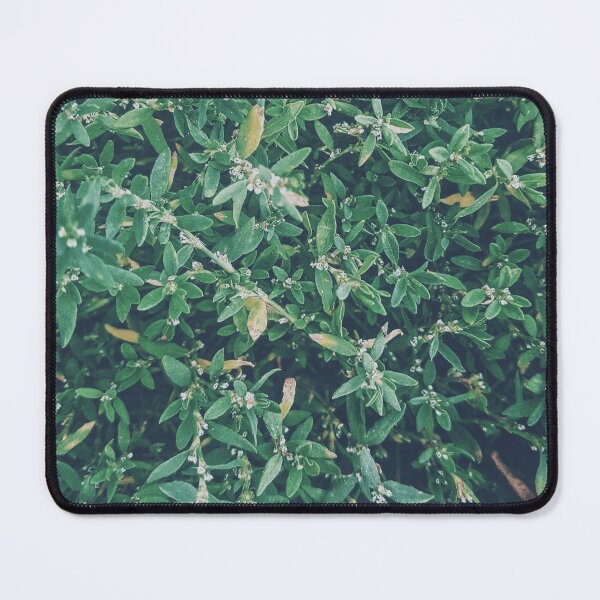 Item preview, green plant - ask me about my plants designed and sold by NelBo.