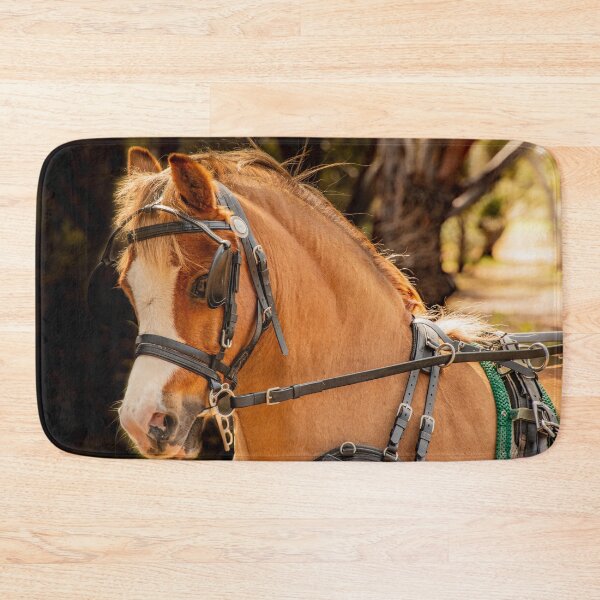 Item preview, Harness Pony designed and sold by Penny Heighes.