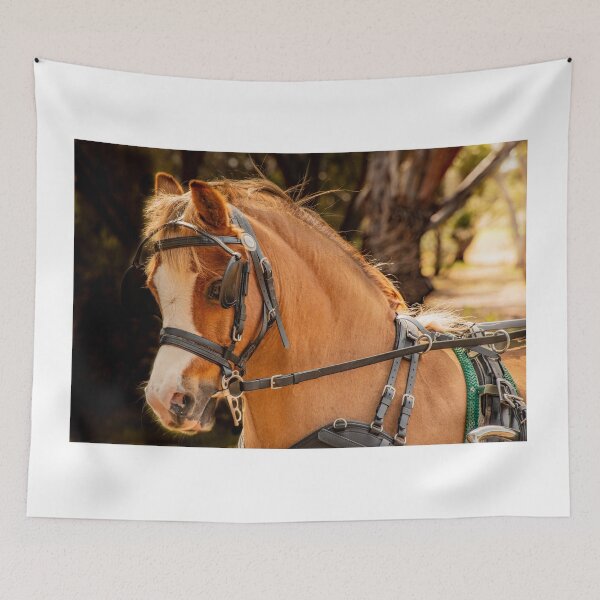 Item preview, Harness Pony designed and sold by Penny Heighes.