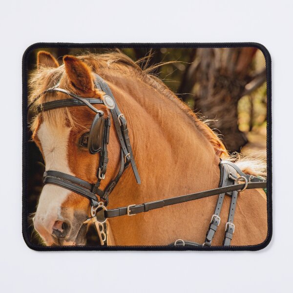 Item preview, Harness Pony designed and sold by Penny Heighes.