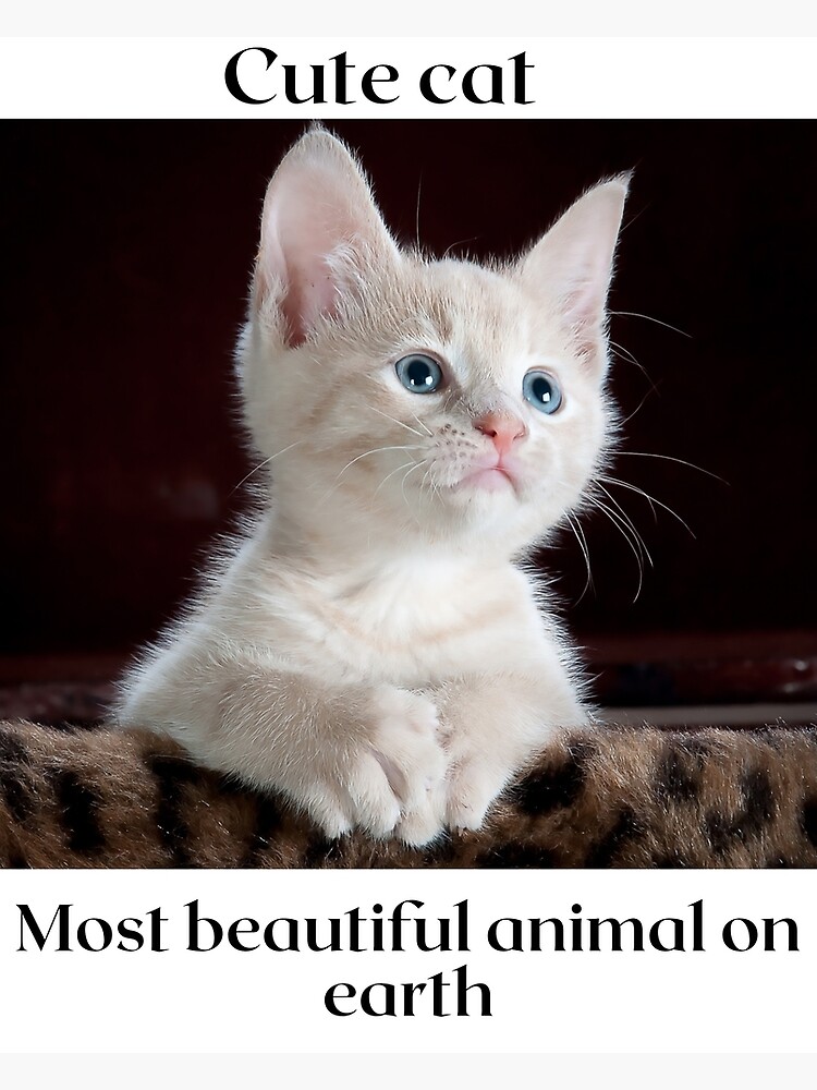 "Most Beautiful Animal On Earth" Poster For Sale By Richardadja28 ...