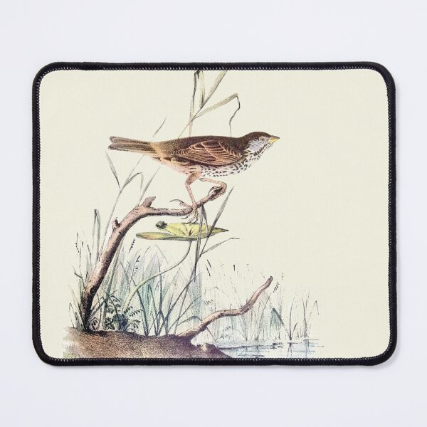 Item preview, Song Sparrow - Audubon designed and sold by sanerevolution.