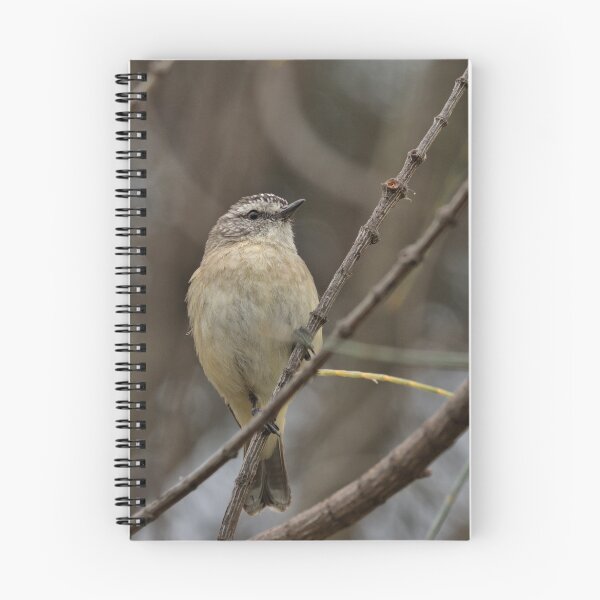Item preview, Yellow-rumped Thornbill designed and sold by KimHSinclair.