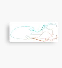 Science Lines Canvas Print