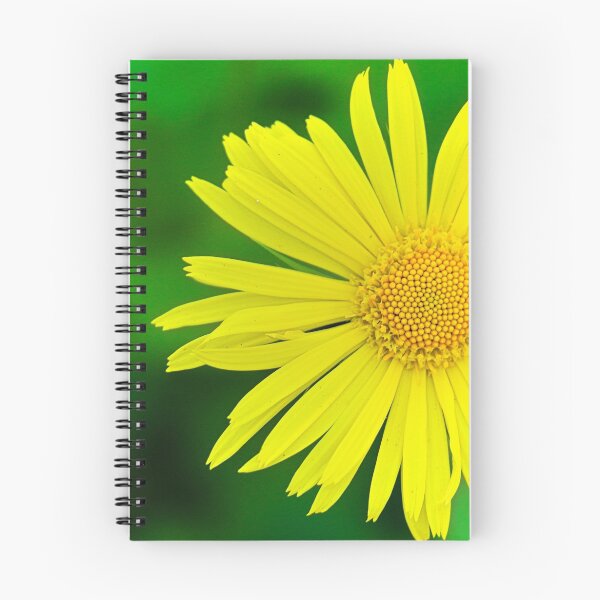 Item preview, Leopards Bane designed and sold by ADM  Photography.