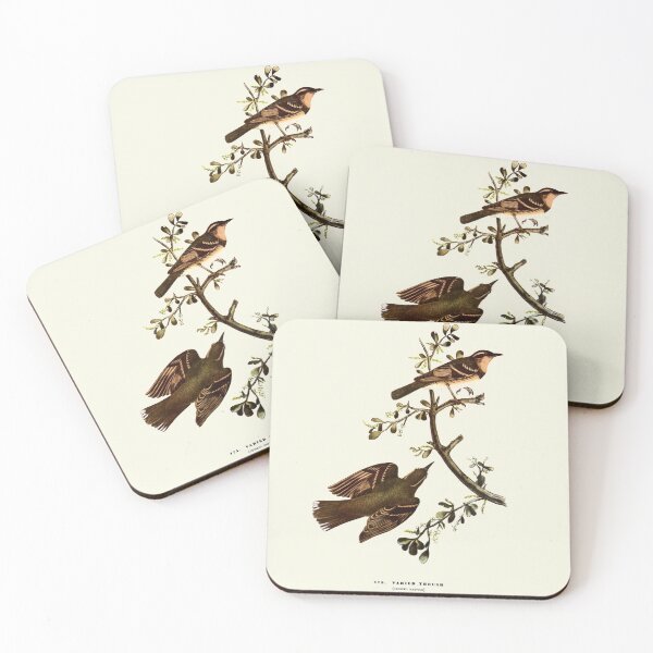 Item preview, Varied Thrush - Audubon designed and sold by sanerevolution.