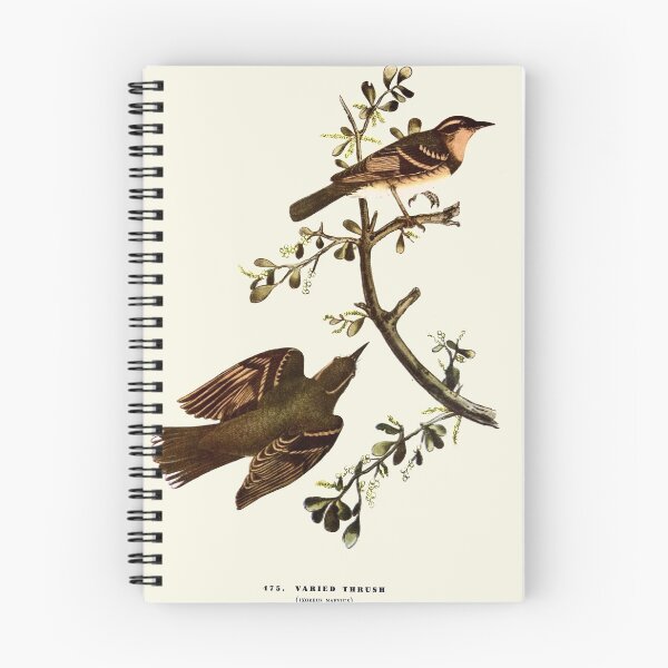 Item preview, Varied Thrush - Audubon designed and sold by sanerevolution.