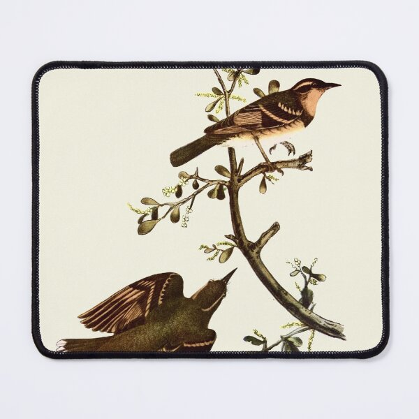 Item preview, Varied Thrush - Audubon designed and sold by sanerevolution.
