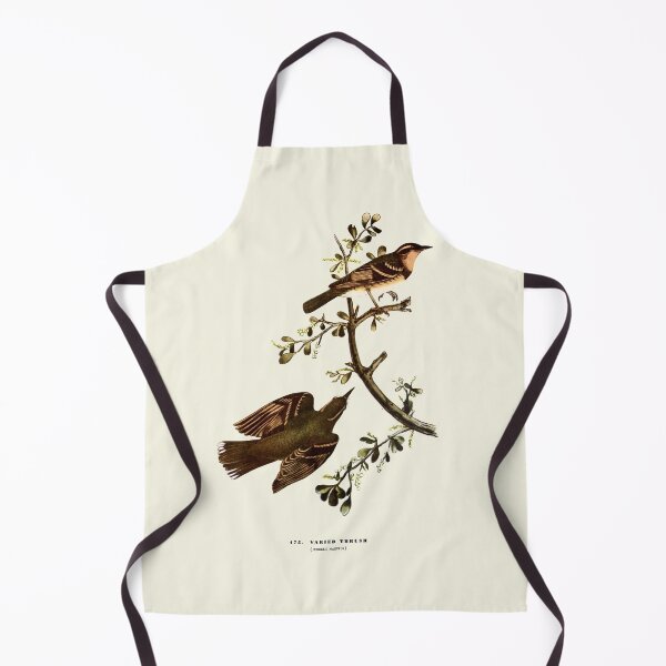 Item preview, Varied Thrush - Audubon designed and sold by sanerevolution.
