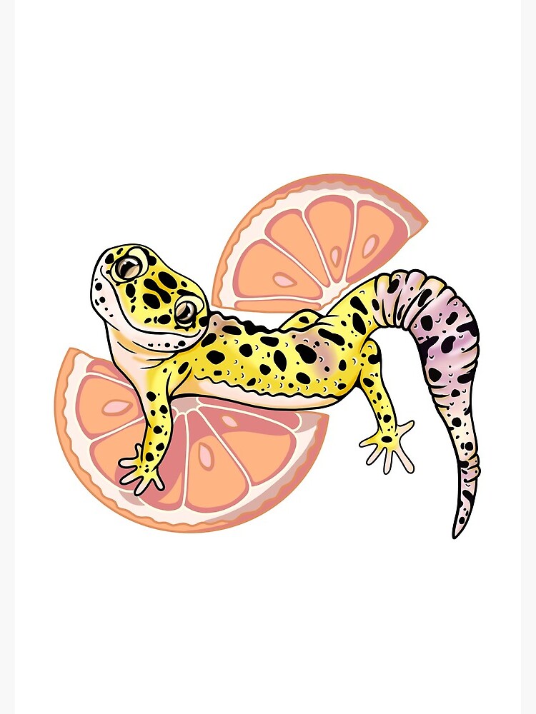 Leopard gecko fruit fashion