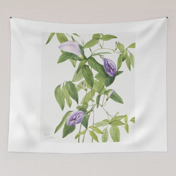 Item preview, Butterfly Pea designed and sold by Yeldiz.