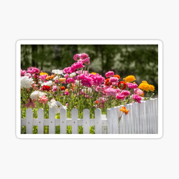 Item preview, White Picket Fence and Flowers designed and sold by CarolM.