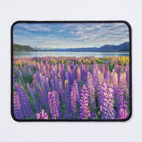 Item preview, Tekapo Lupins designed and sold by Neil Protheroe | Fine Art Landscape Photography.