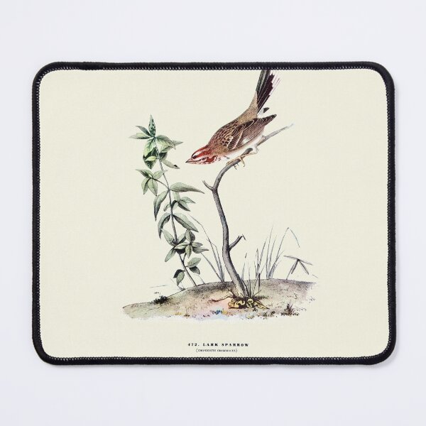Item preview, Lark Sparrow - Audubon designed and sold by sanerevolution.