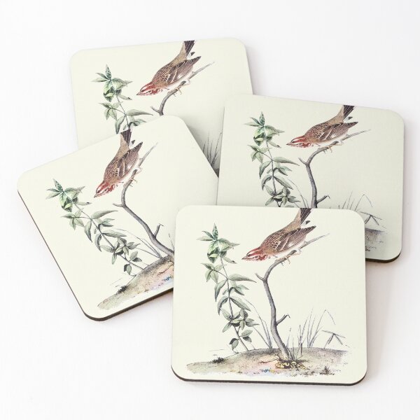 Item preview, Lark Sparrow - Audubon designed and sold by sanerevolution.