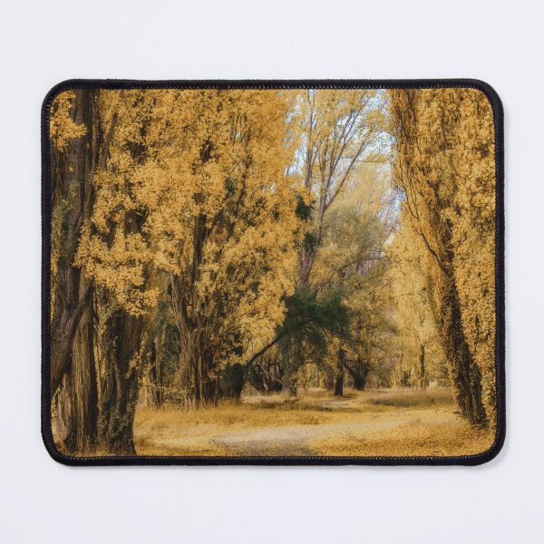 Item preview, Autumn in Albert Town designed and sold by Neil Protheroe | Fine Art Landscape Photography.