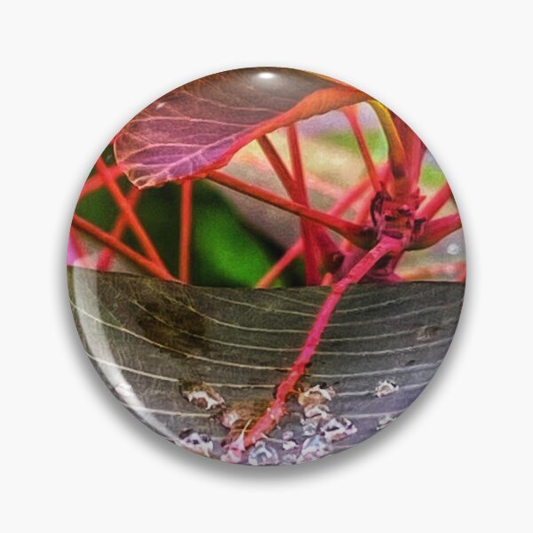 Item preview,  Rainbow leaves.               designed and sold by Lorraine Lashley  - My Joy..