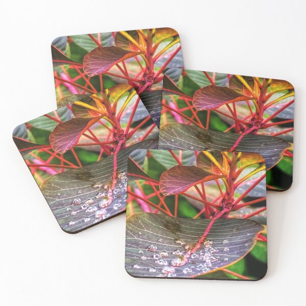 Item preview,  Rainbow leaves.               designed and sold by Lorraine Lashley  - My Joy..