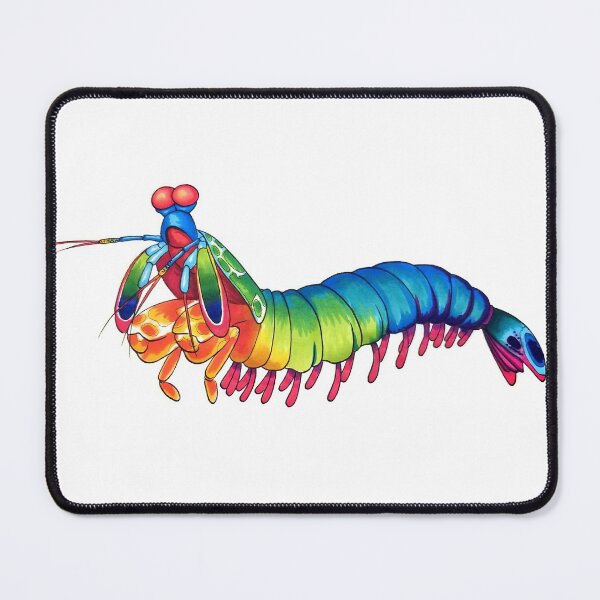 Item preview, Rainbow Mantis Shrimp designed and sold by degeneroot.