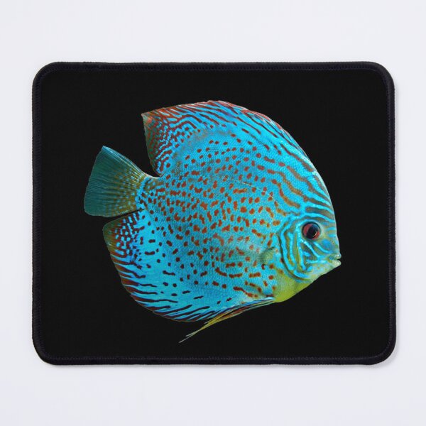 Item preview, Discus - For All Discus Fish Lovers designed and sold by AquariumExp.