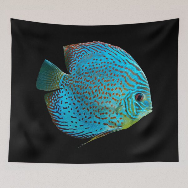 Item preview, Discus - For All Discus Fish Lovers designed and sold by AquariumExp.