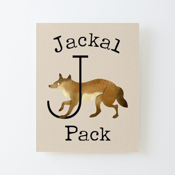 Jackal Decals Sampler Pack