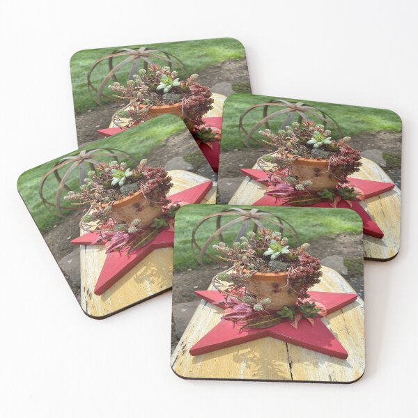 Item preview, Farmhouse succulent garden designed and sold by LoveHeartRocks.