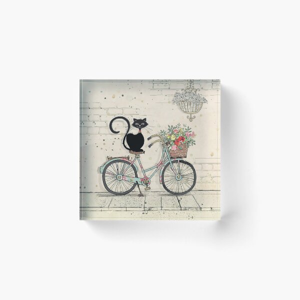 Artikelvorschau, Cat Cycling Decke entworfen und verkauft von Huynhdesign.