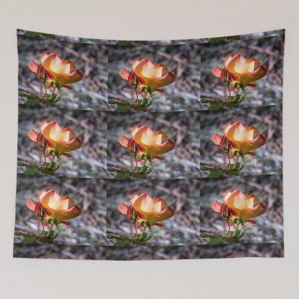 Item preview, Rose, sweet Rose designed and sold by RGKphotos.