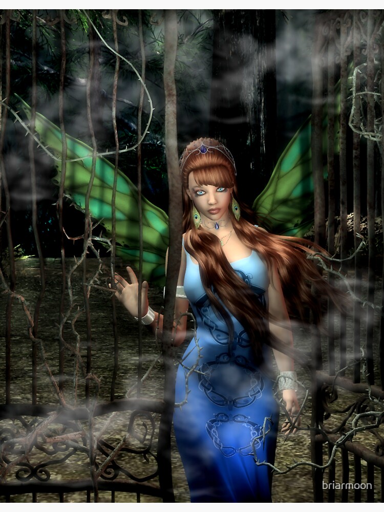 Wild Wood Gate - Faery Art by briarmoon