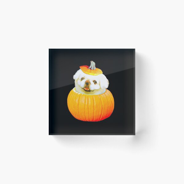 Item preview, White Pekingese Halloween Pumpkin for Pekingese Lovers   designed and sold by Mochi-Merch.