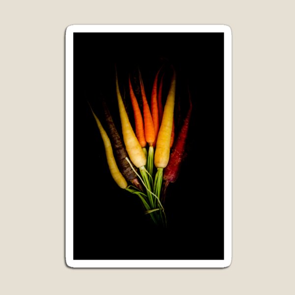 Carrot Magnet