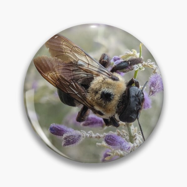 Item preview, Busy bee designed and sold by memorguson.