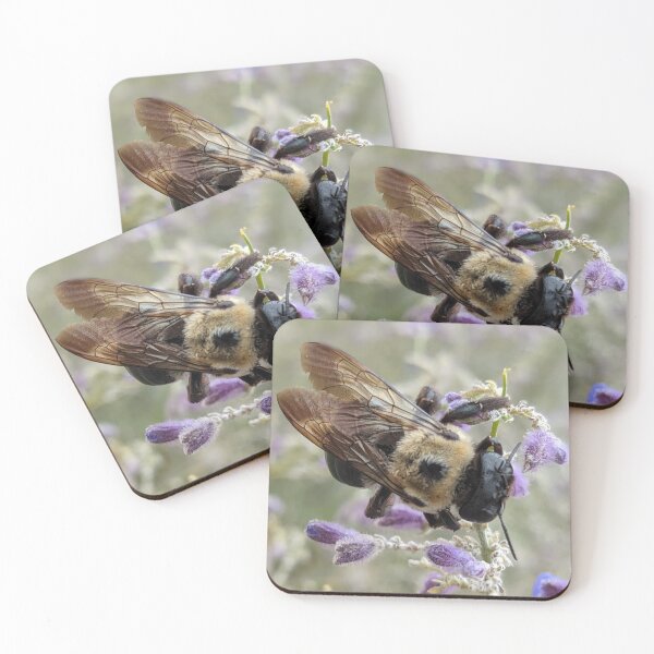 Item preview, Busy bee designed and sold by memorguson.