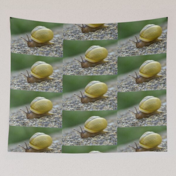 Item preview, Small Snail.......Dorset UK designed and sold by lynn carter.