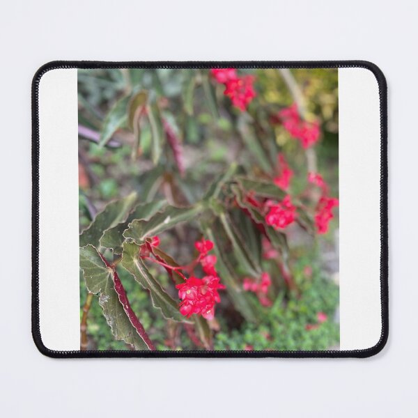 Item preview, BEAUTY IN THE WILD designed and sold by iAmmAja43.