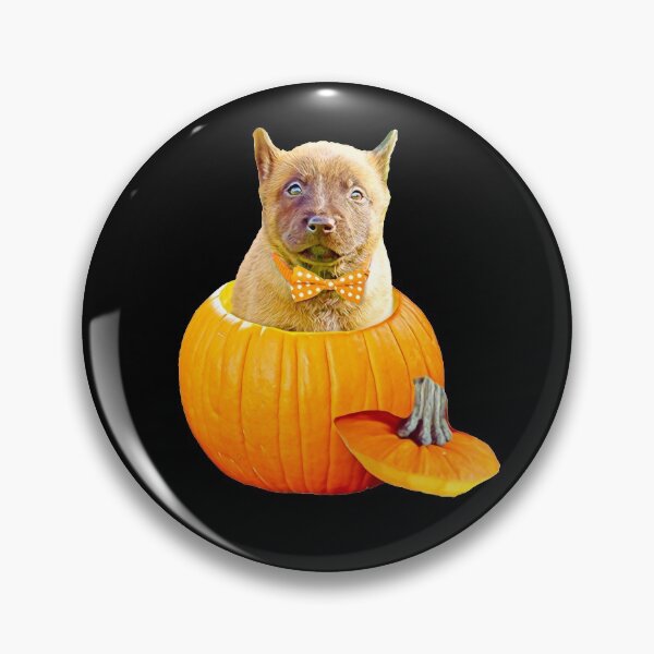 Item preview, Halloween Belgian Malinois Belgian Sheperd Pumpkin for Malinois Lovers  designed and sold by Mochi-Merch.